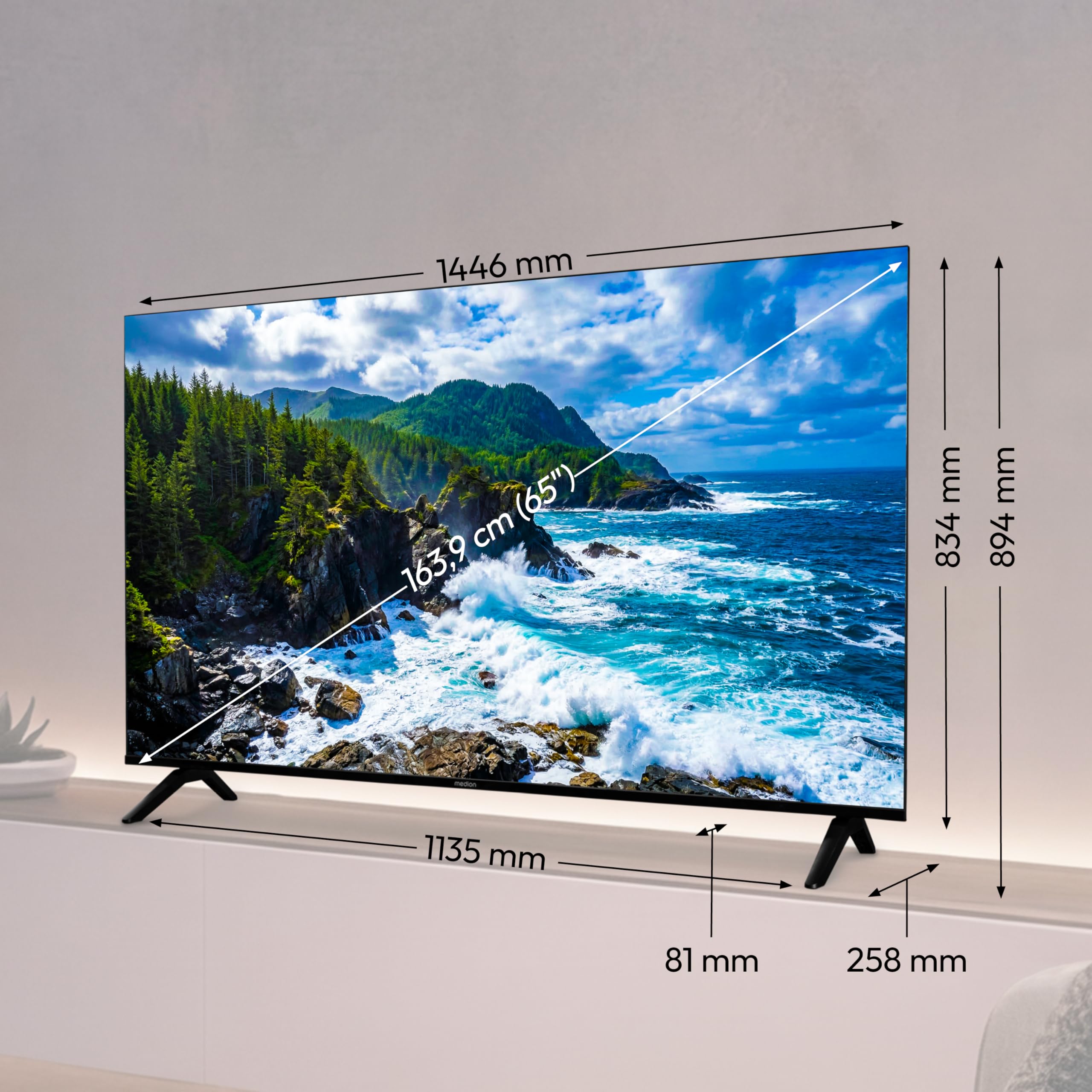 MEDION MD865201 TV 65" 163,9cm UHD 4K HDR10 Smart VIDA