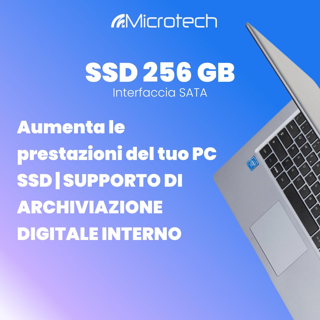 Microtech SSD 256GB M.2 2280 SATA memoria SSD