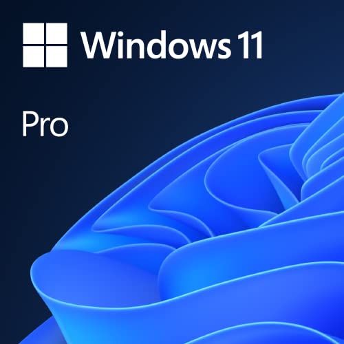 Microsoft Windows 11 Pro sistema operativo Pro