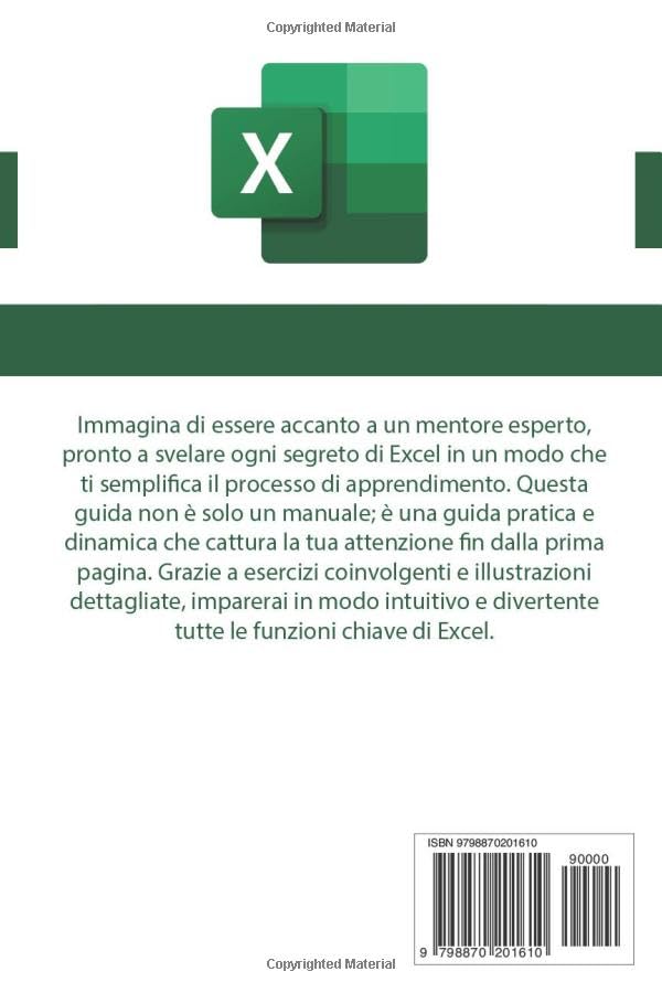 Microsoft Excel corso accelerato libro principianti 7 giorni