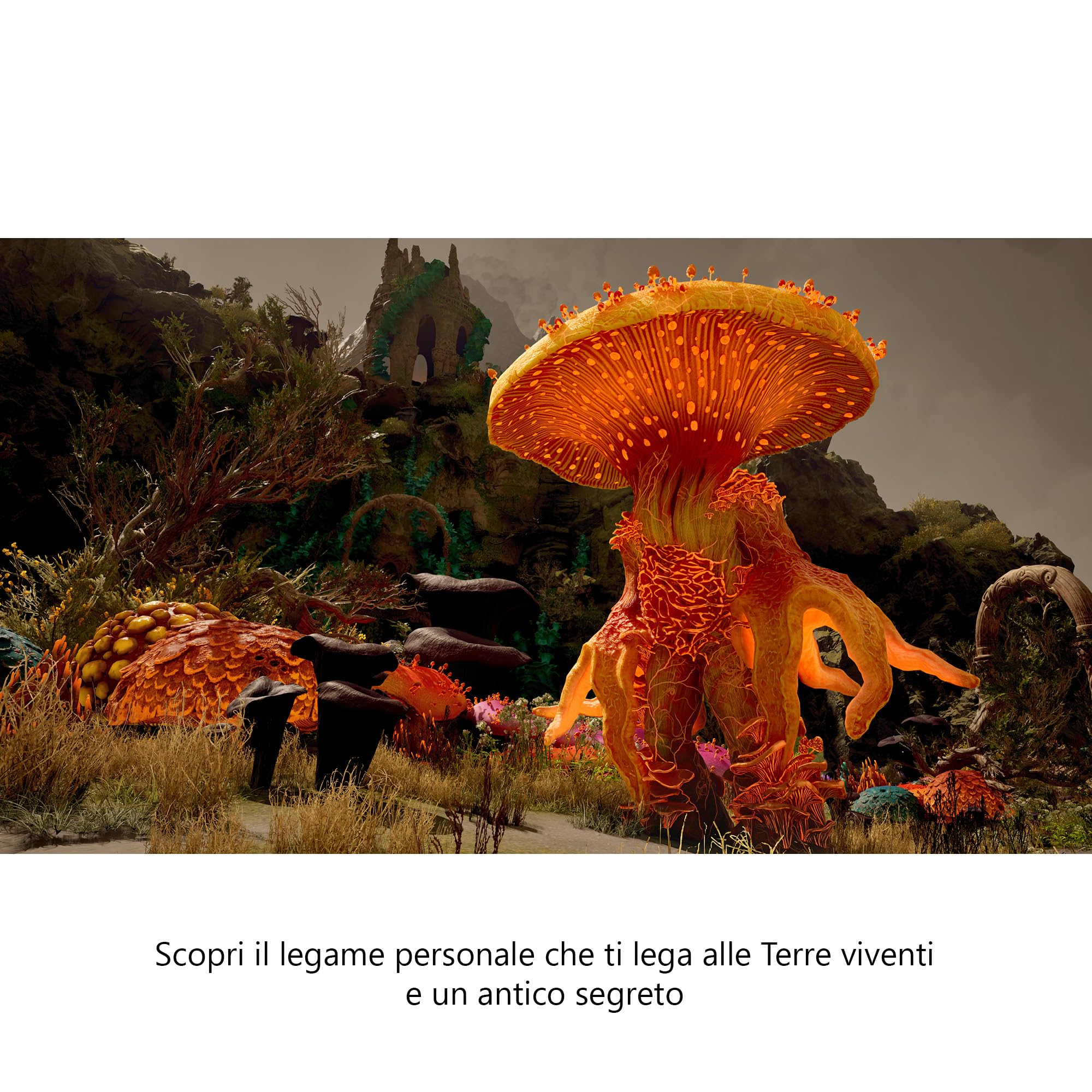 Avowed Premium Upgrade DLC Xbox Series X|S Windows digitale