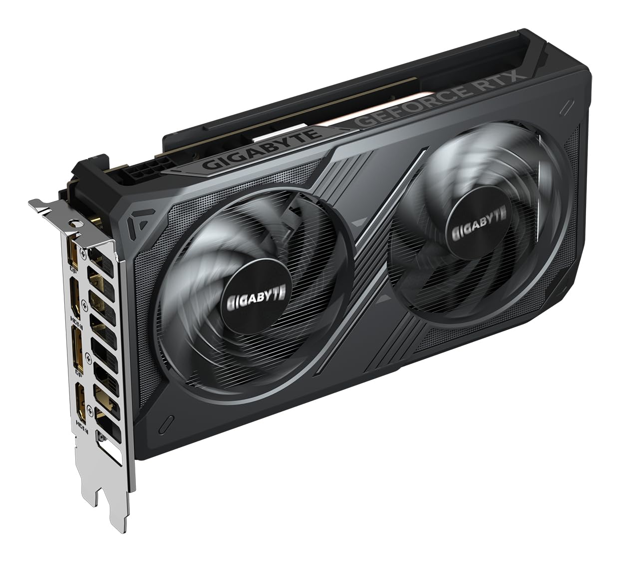 Gigabyte GeForce RTX 5050 WINDFORCE OC 8G scheda video 8GB GDDR6