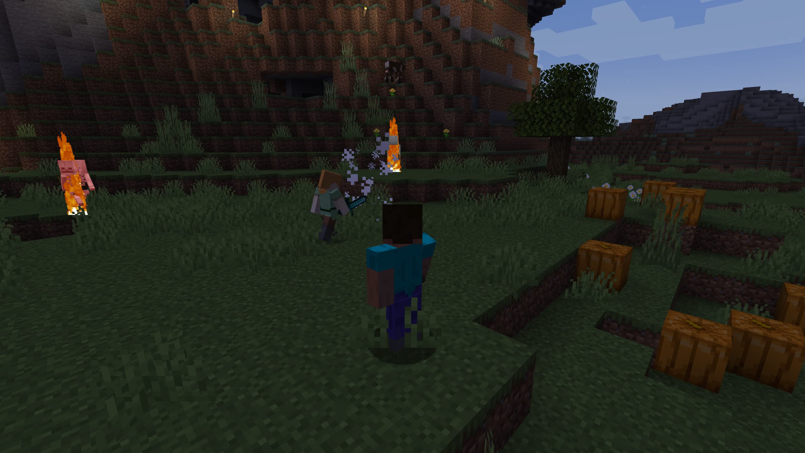 Minecraft Starter Collection gioco PC codice download Java Bedrock