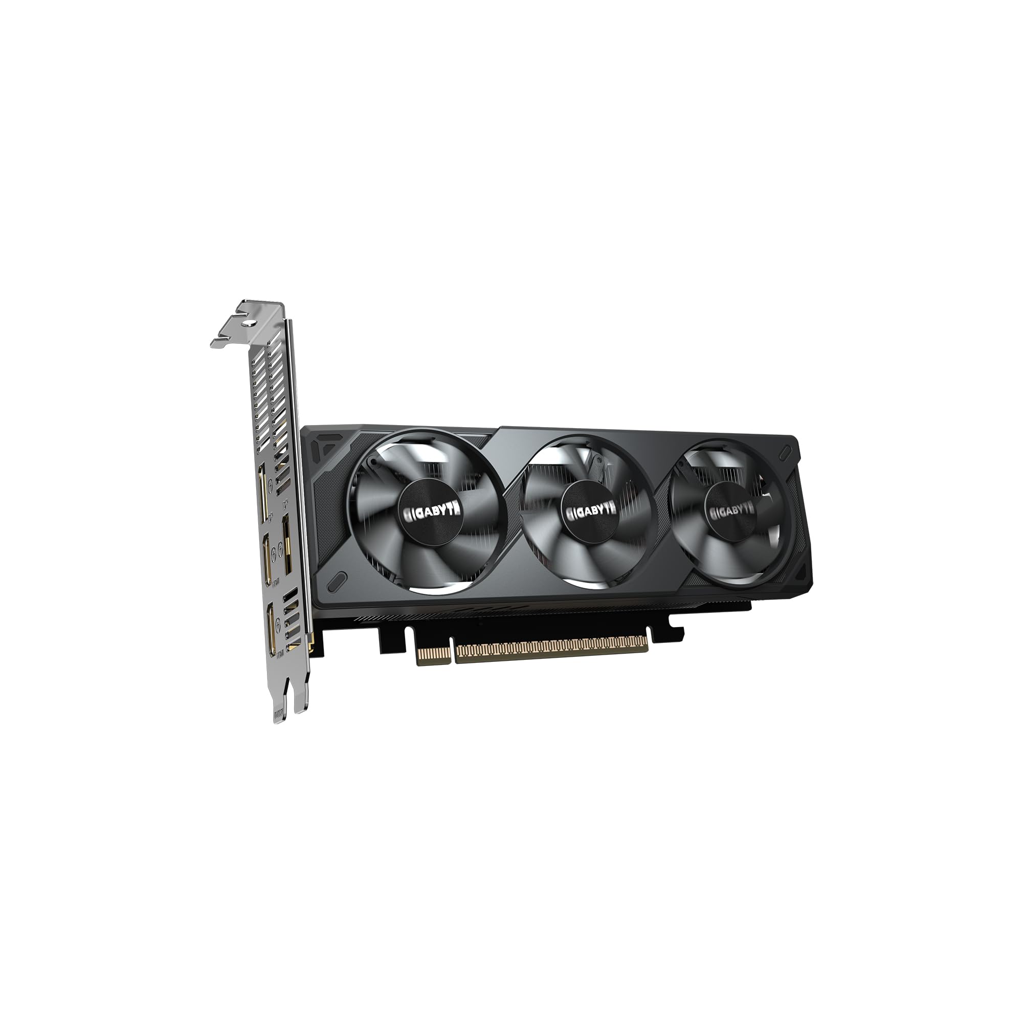 Gigabyte RTX 5050 OC Low Profile scheda video 8GB GDDR6 DLSS 4