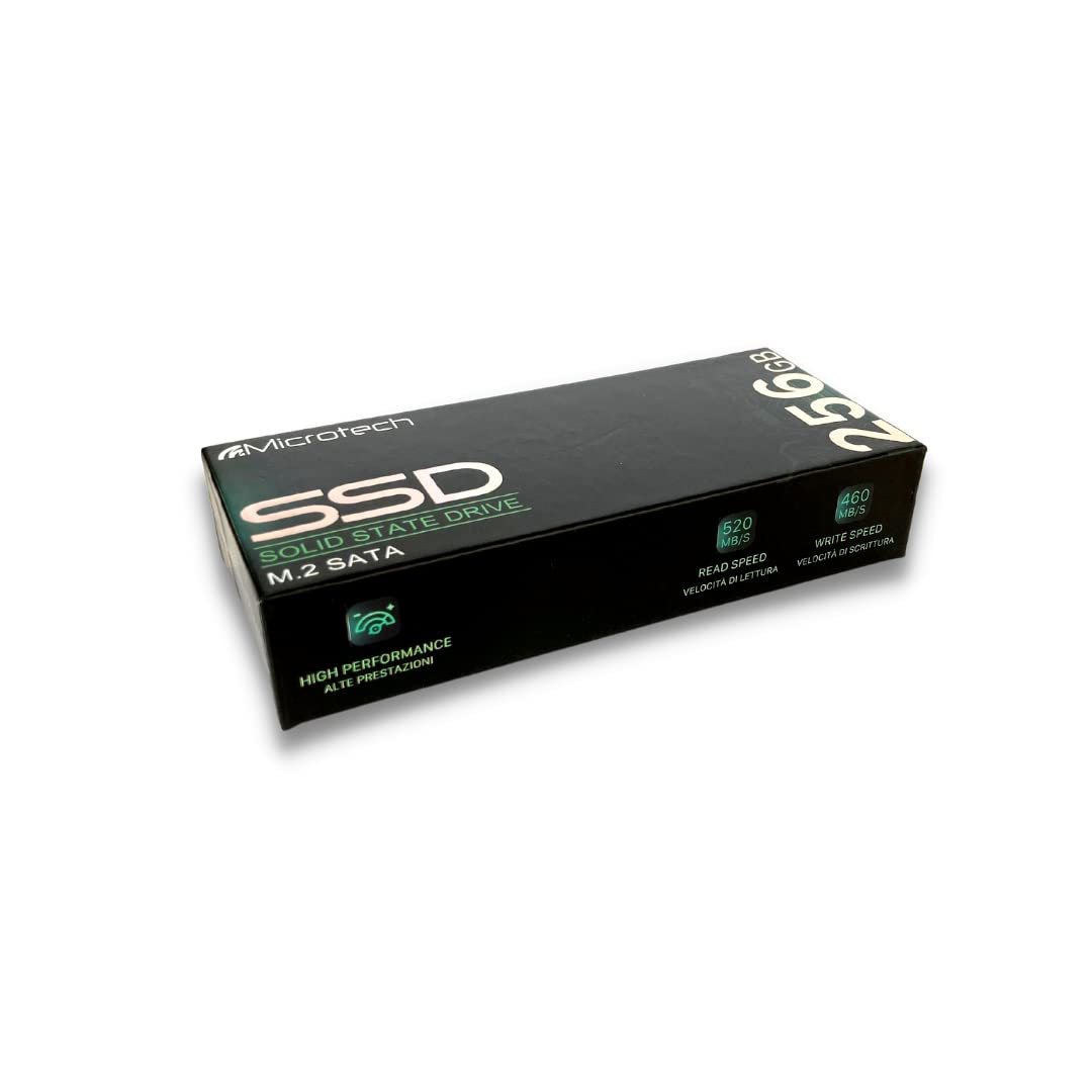 Microtech SSD 256GB M.2 2280 SATA memoria SSD
