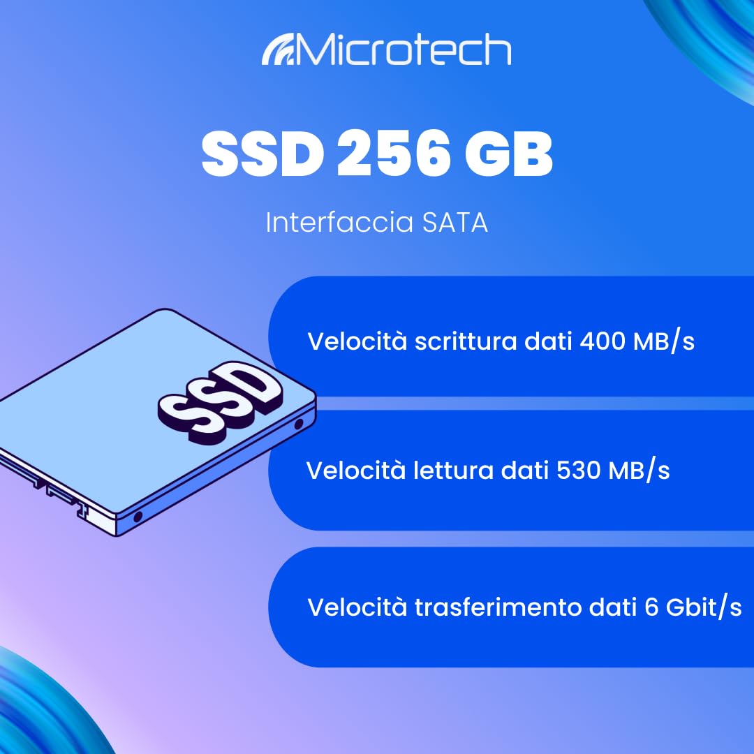 Microtech SSD 256GB M.2 2280 SATA memoria SSD