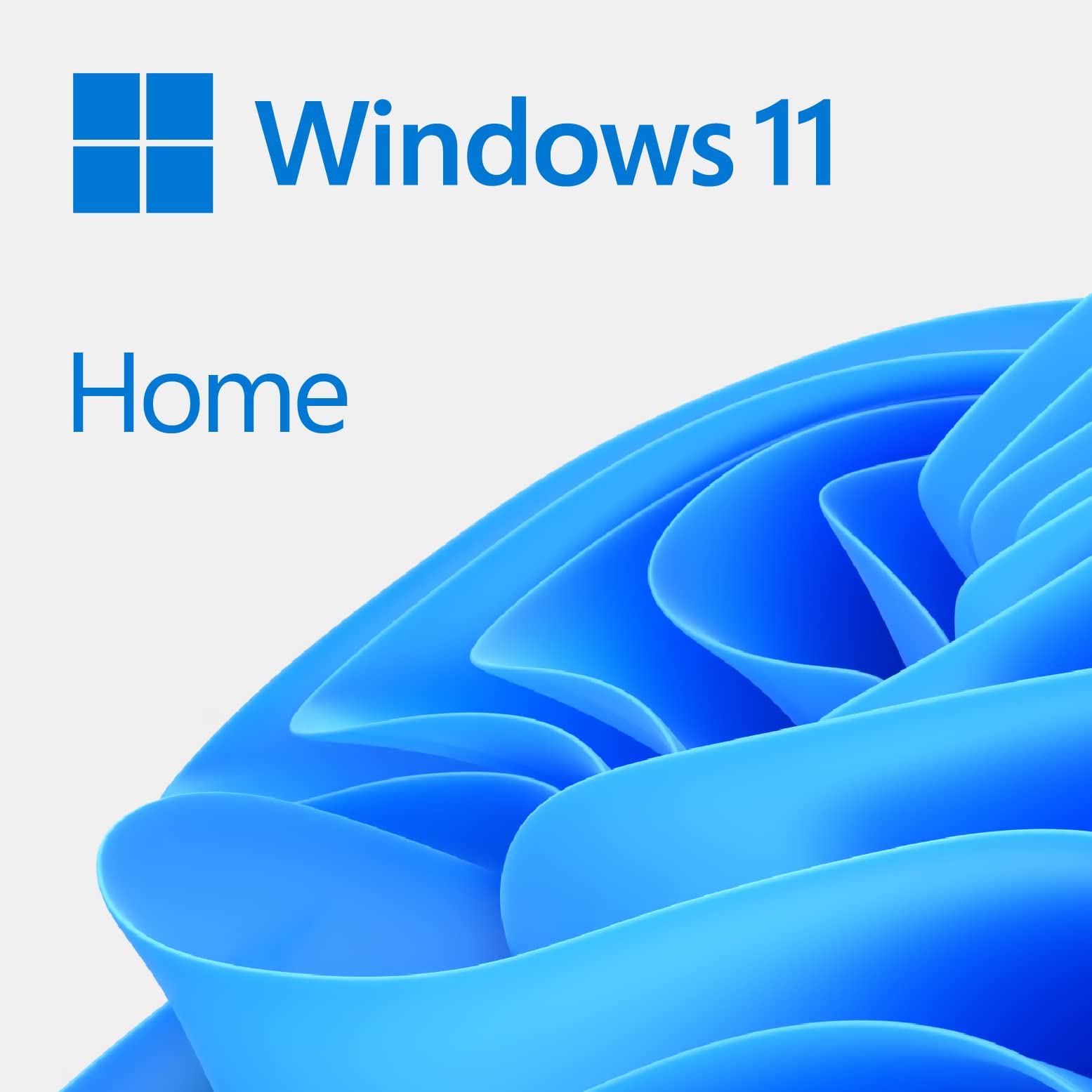 Microsoft Windows 11 Pro sistema operativo Pro