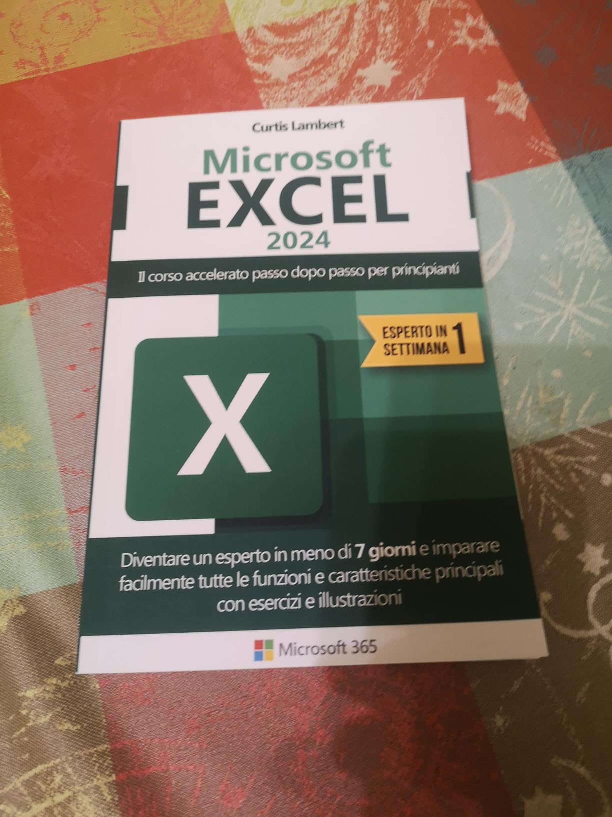Microsoft Excel corso accelerato libro principianti 7 giorni