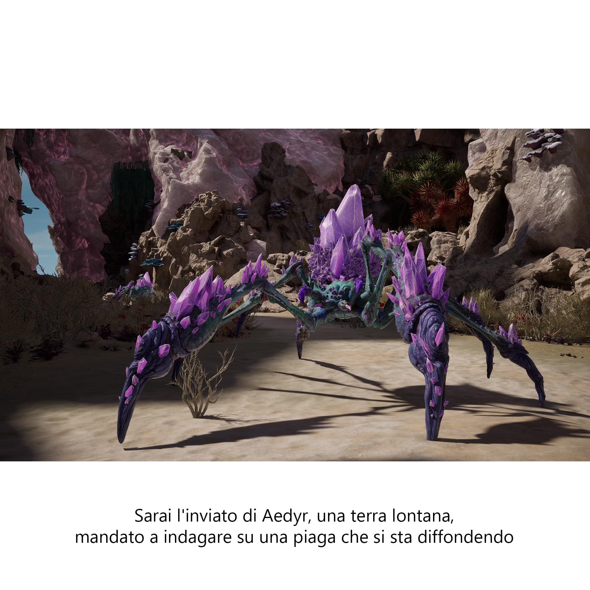 Avowed Premium Upgrade DLC Xbox Series X|S Windows digitale
