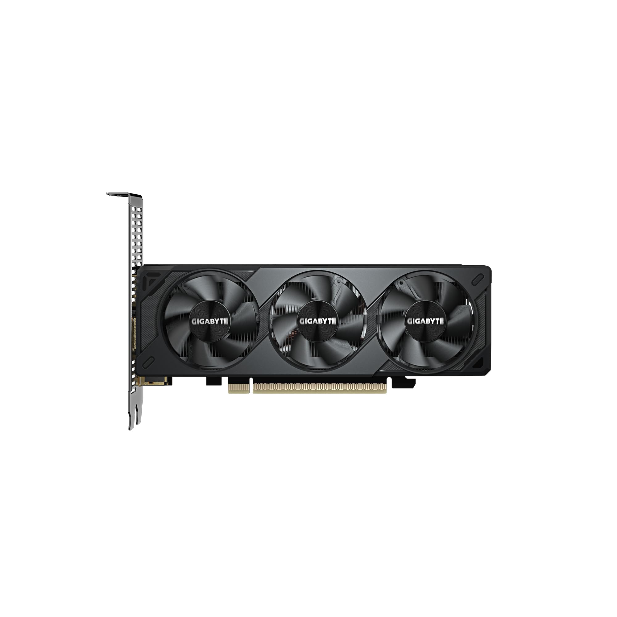 Gigabyte RTX 5050 OC Low Profile scheda video 8GB GDDR6 DLSS 4