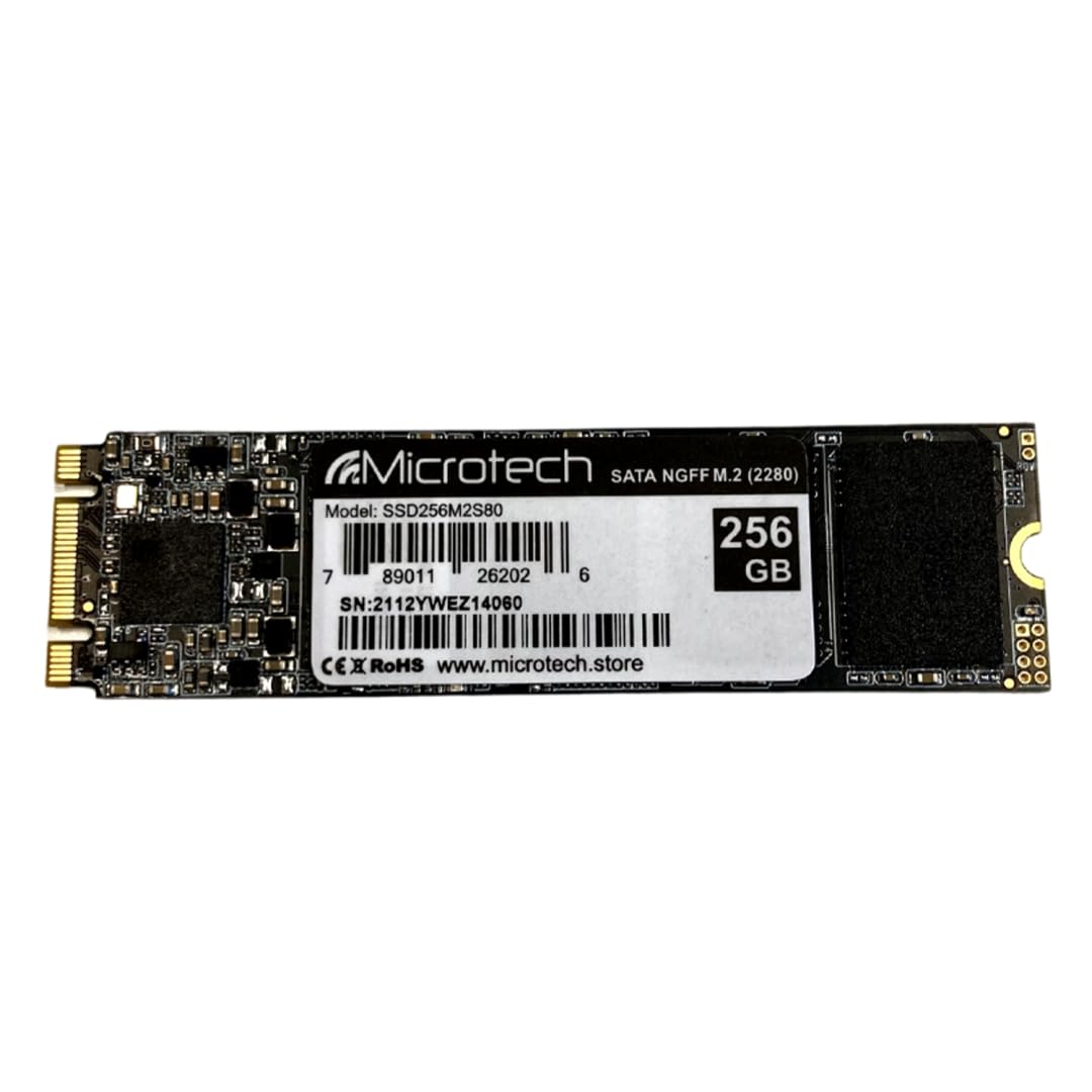 Microtech SSD 256GB M.2 2280 SATA memoria SSD